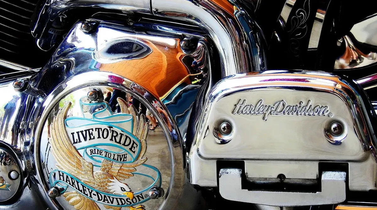 Wilkins Harley-Davidson 